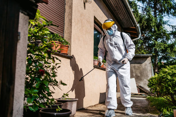 Best Wasp Removal Services  in Chester, IL
