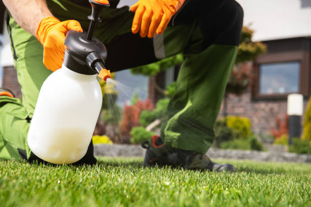 Bird Control in Chester, IL