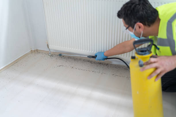 Best Flea Control Services  in Chester, IL