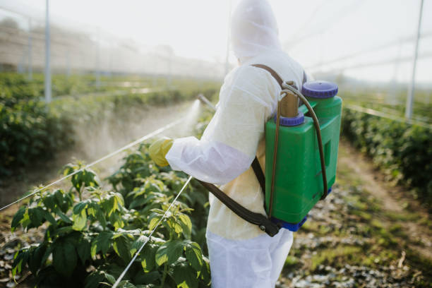 Best Wildlife Control Services  in Chester, IL
